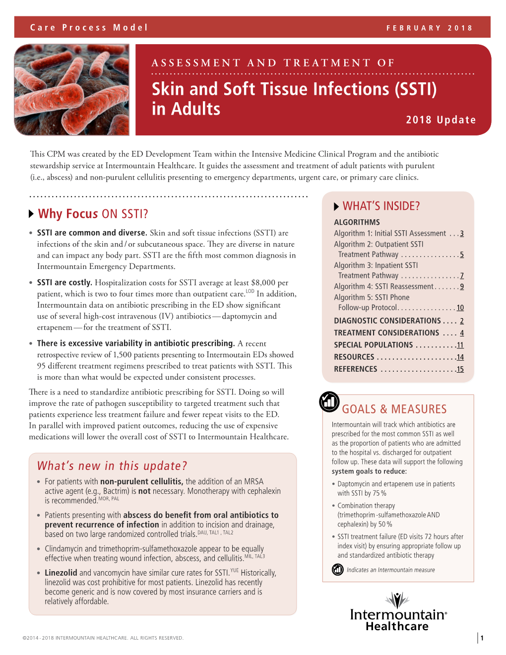 Care Process Models Skin and Soft Tissue Infections (SSTI) in Adults
