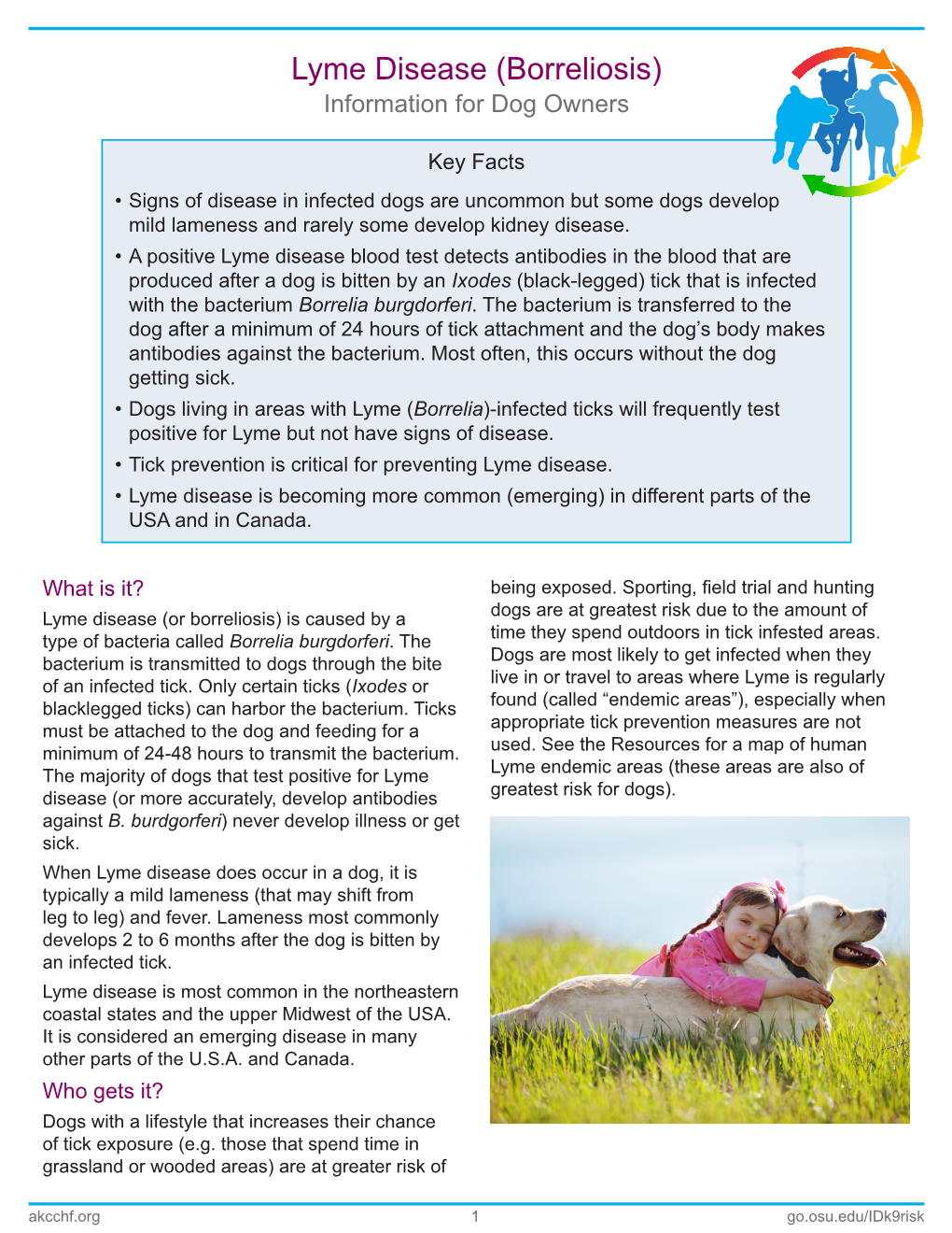 Lyme Disease (Borreliosis) Information for Dog Owners
