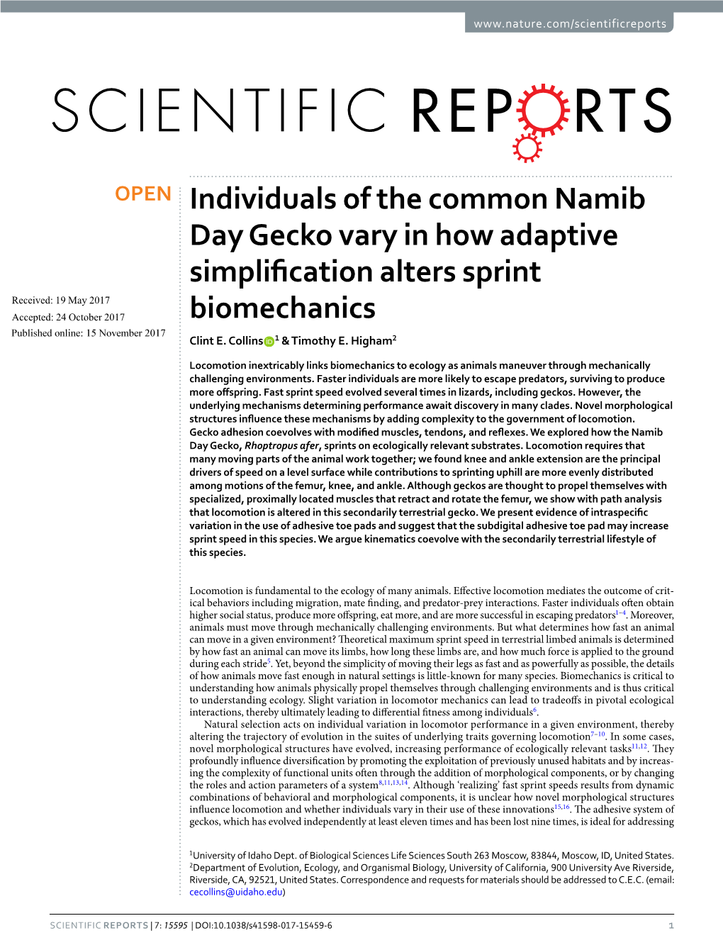 Individuals of the Common Namib Day Gecko Vary in How Adaptive