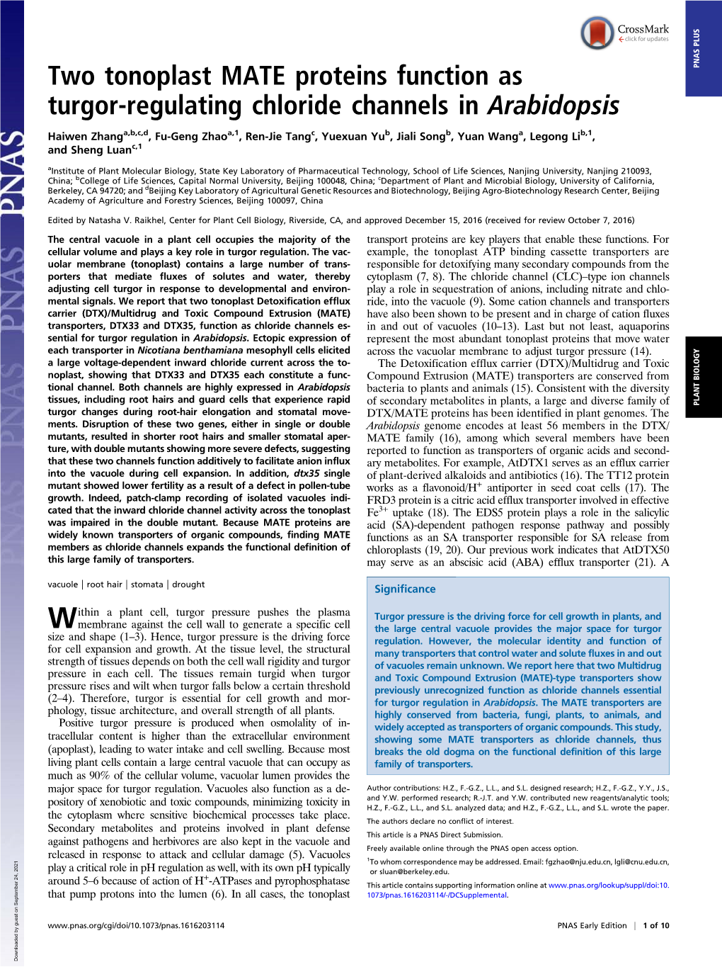 Two Tonoplast MATE Proteins Function As Turgor-Regulating Chloride