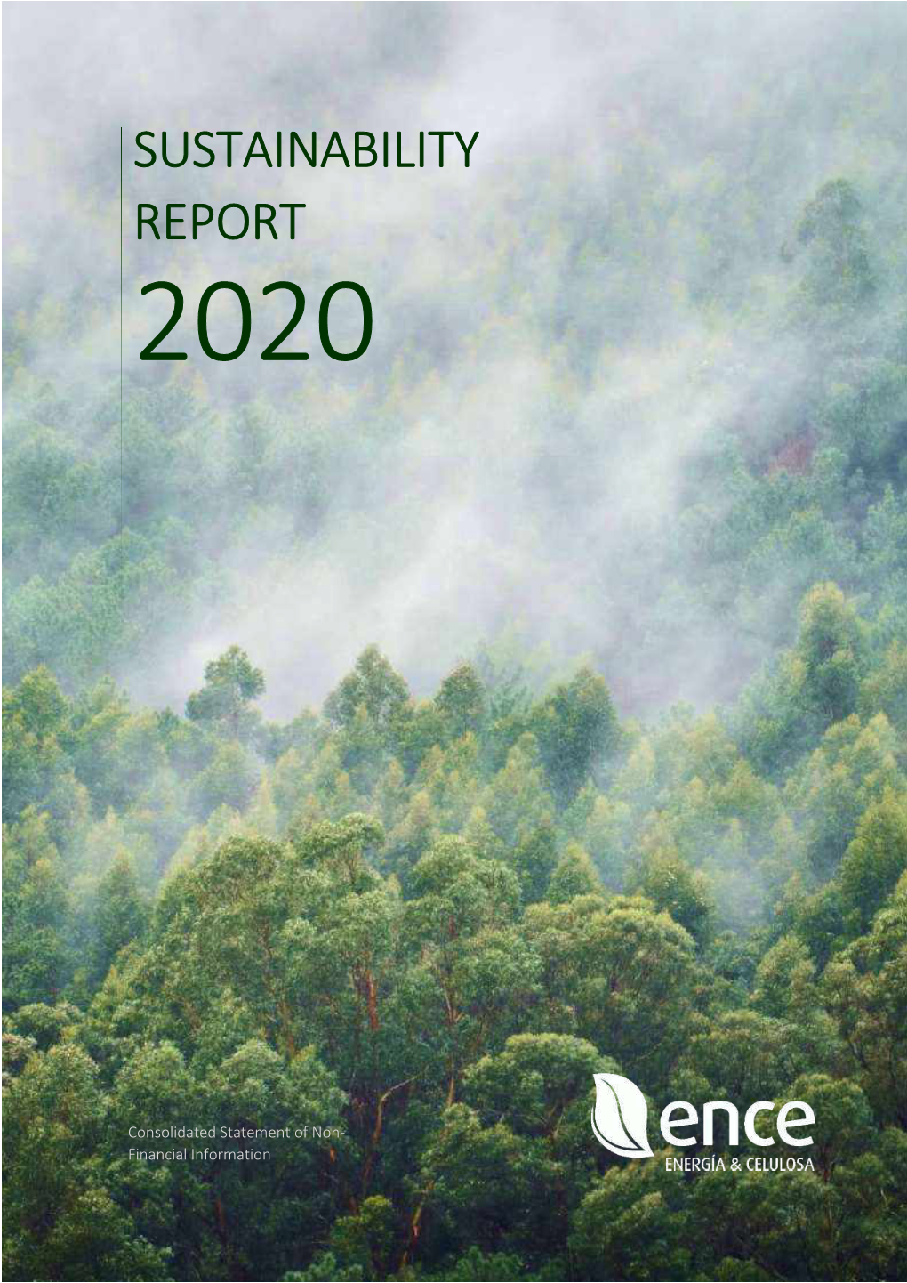 2020 Sustainability Report Pertains to All the Activities Carried out by Grupo Ence Energía Y Celulosa S.A