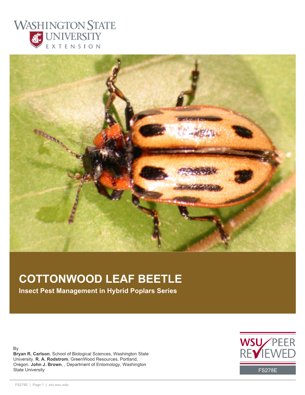 COTTONWOOD LEAF BEETLE Insect Pest Management in Hybrid Poplars Series