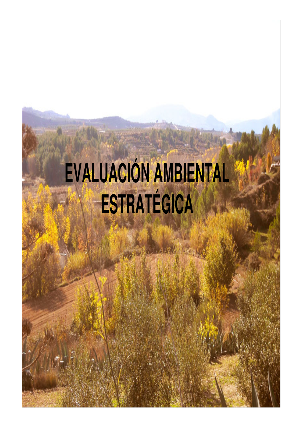 Presentación Evaluación Ambiental