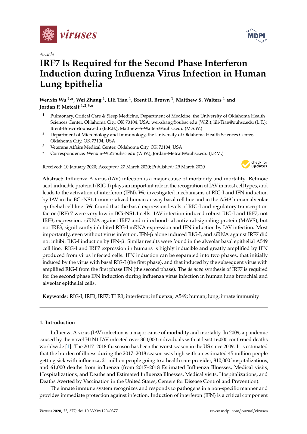 IRF7 Is Required for the Second Phase Interferon Induction During Inﬂuenza Virus Infection in Human Lung Epithelia