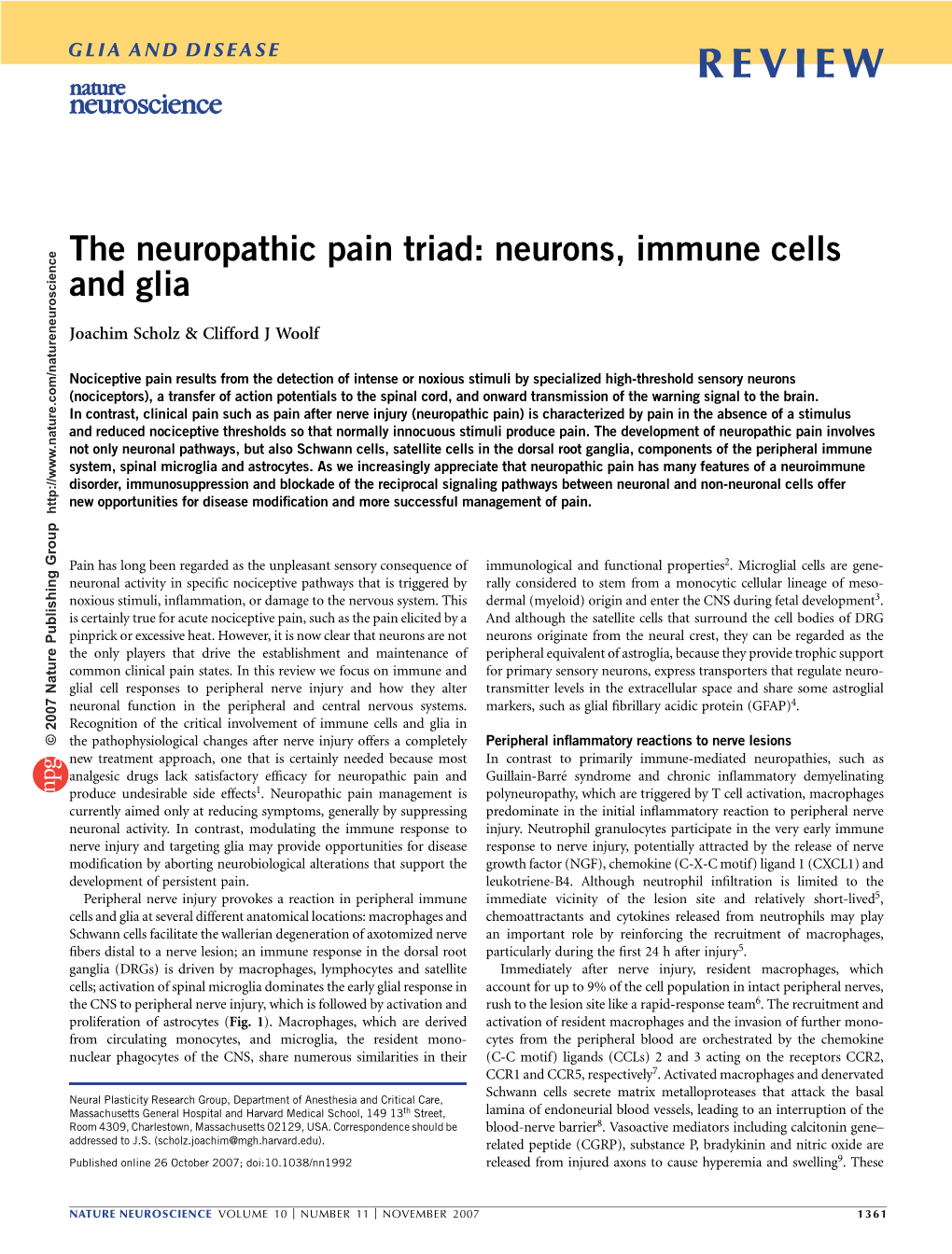The Neuropathic Pain Triad: Neurons, Immune Cells and Glia