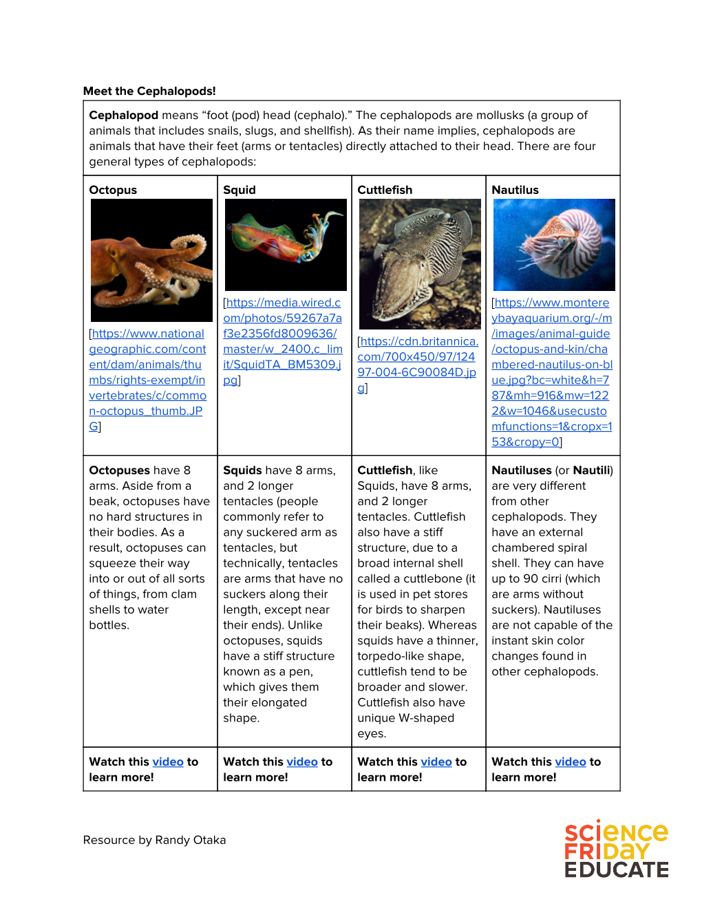 Meet the Cephalopods! Cephalopod​Means “Foot (Pod) Head (Cephalo).” the Cephalopods Are Mollusks (A Group of Animals T