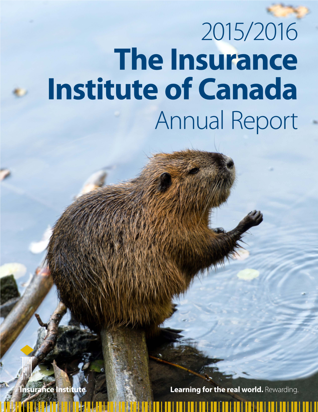 Insurance Institute of Canada 2015/2016 Annual Report