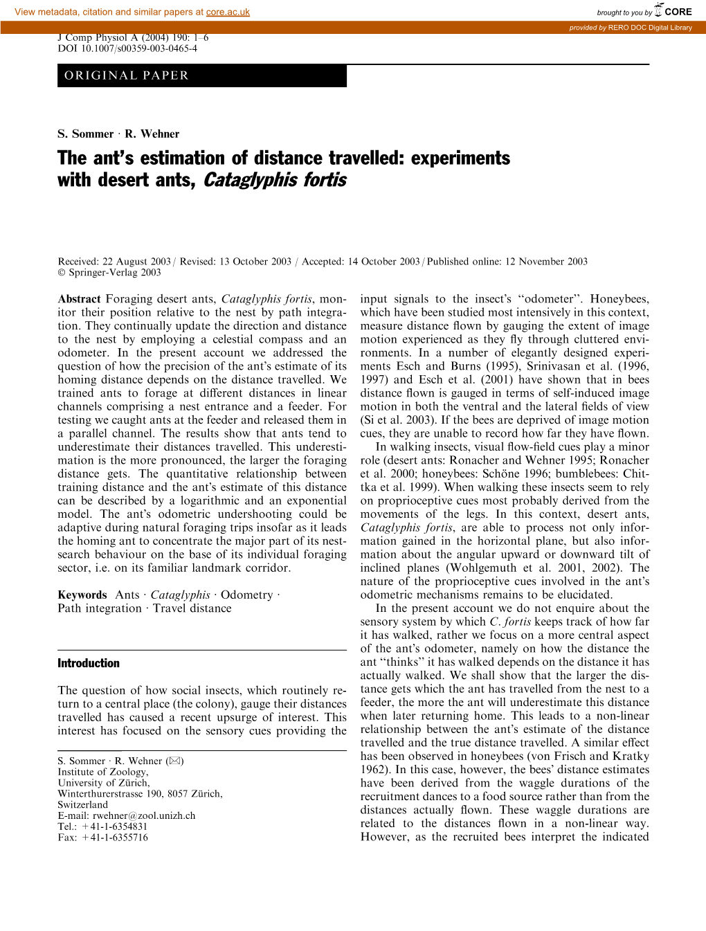 The Ant's Estimation of Distance Travelled