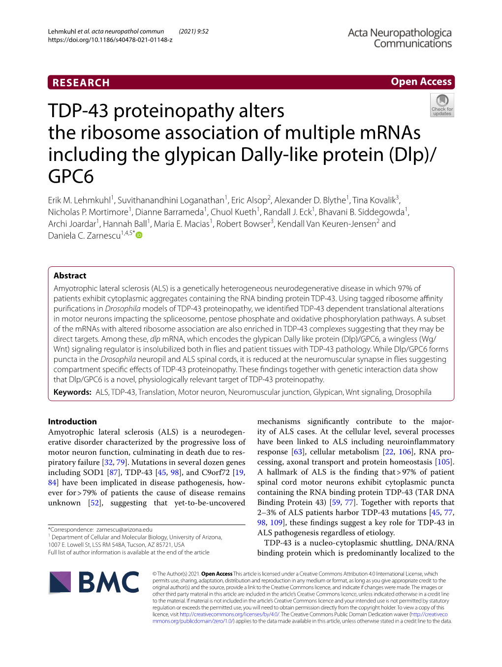 TDP-43 Proteinopathy Alters the Ribosome Association of Multiple