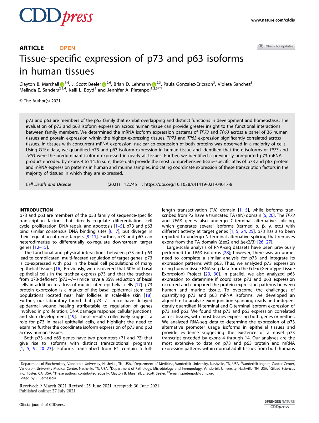 Tissue-Specific Expression of P73 and P63 Isoforms in Human Tissues