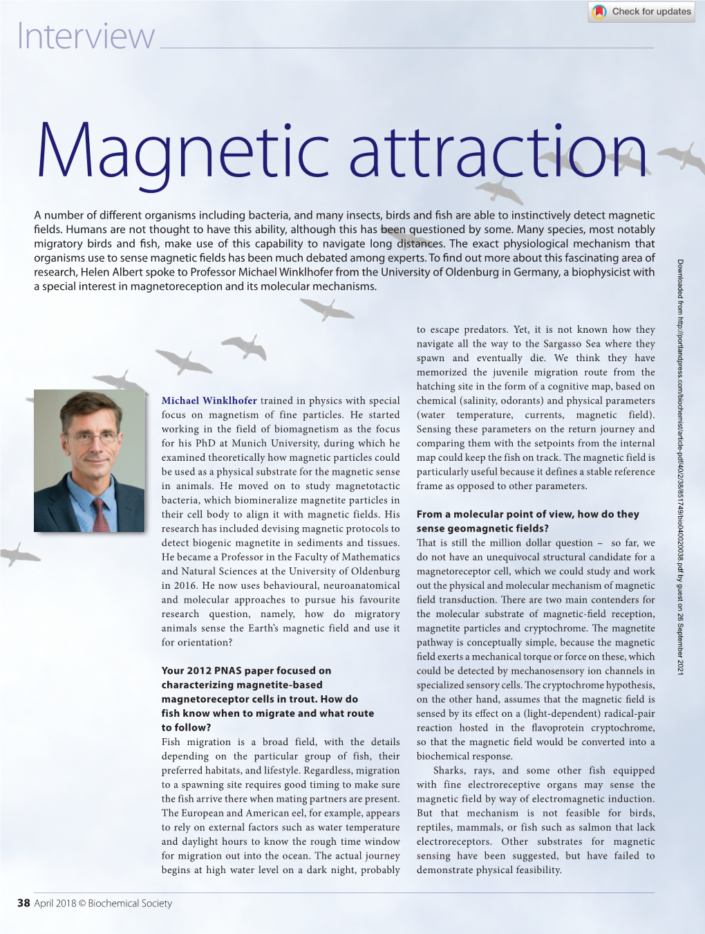 Magnetic Attraction