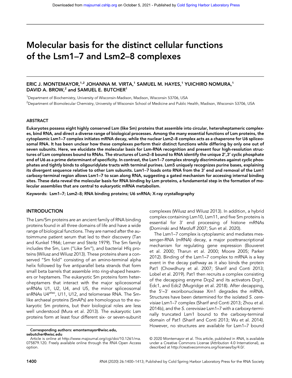 Molecular Basis for the Distinct Cellular Functions of the Lsm1–7 and Lsm2–8 Complexes