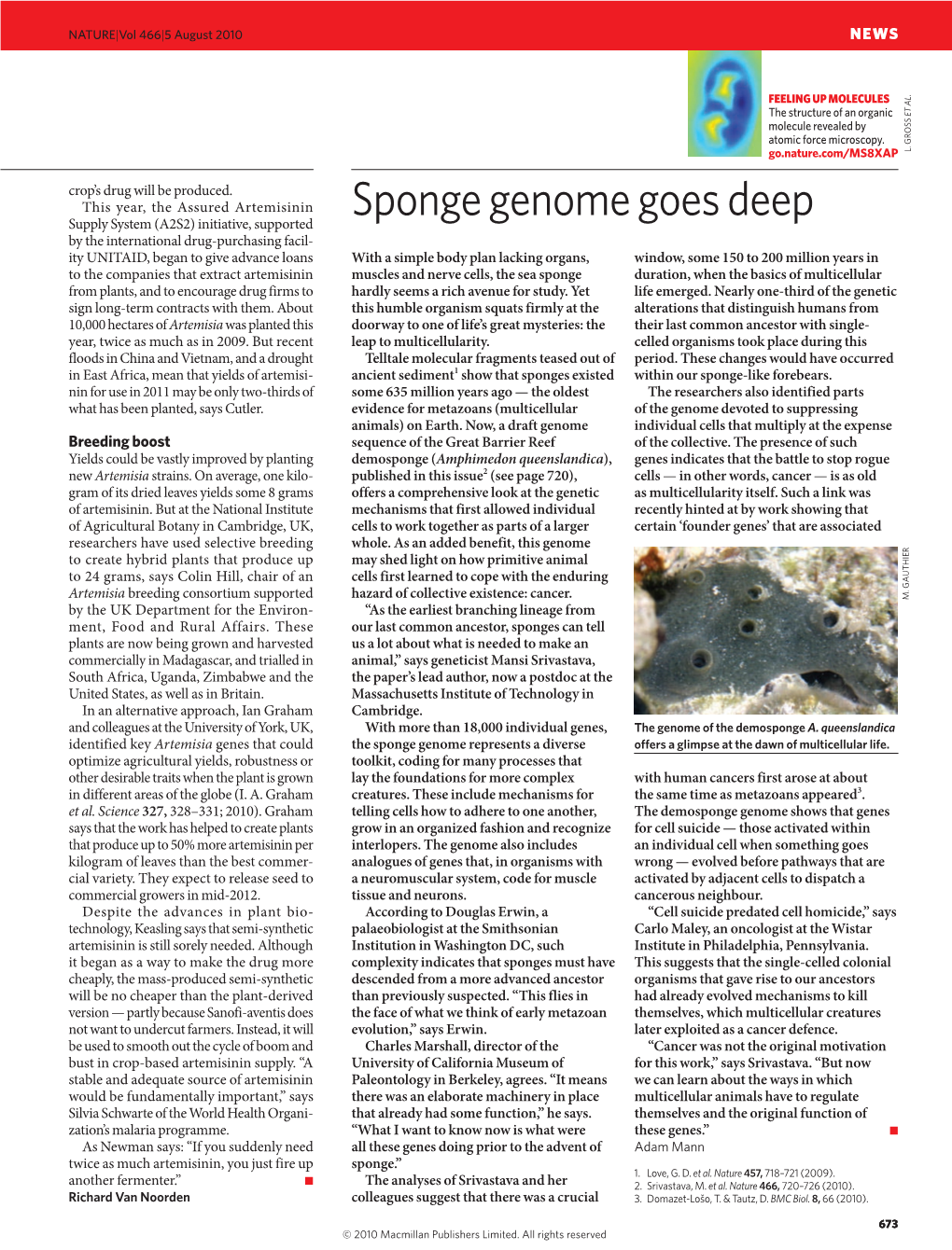 Sponge Genome Goes Deep