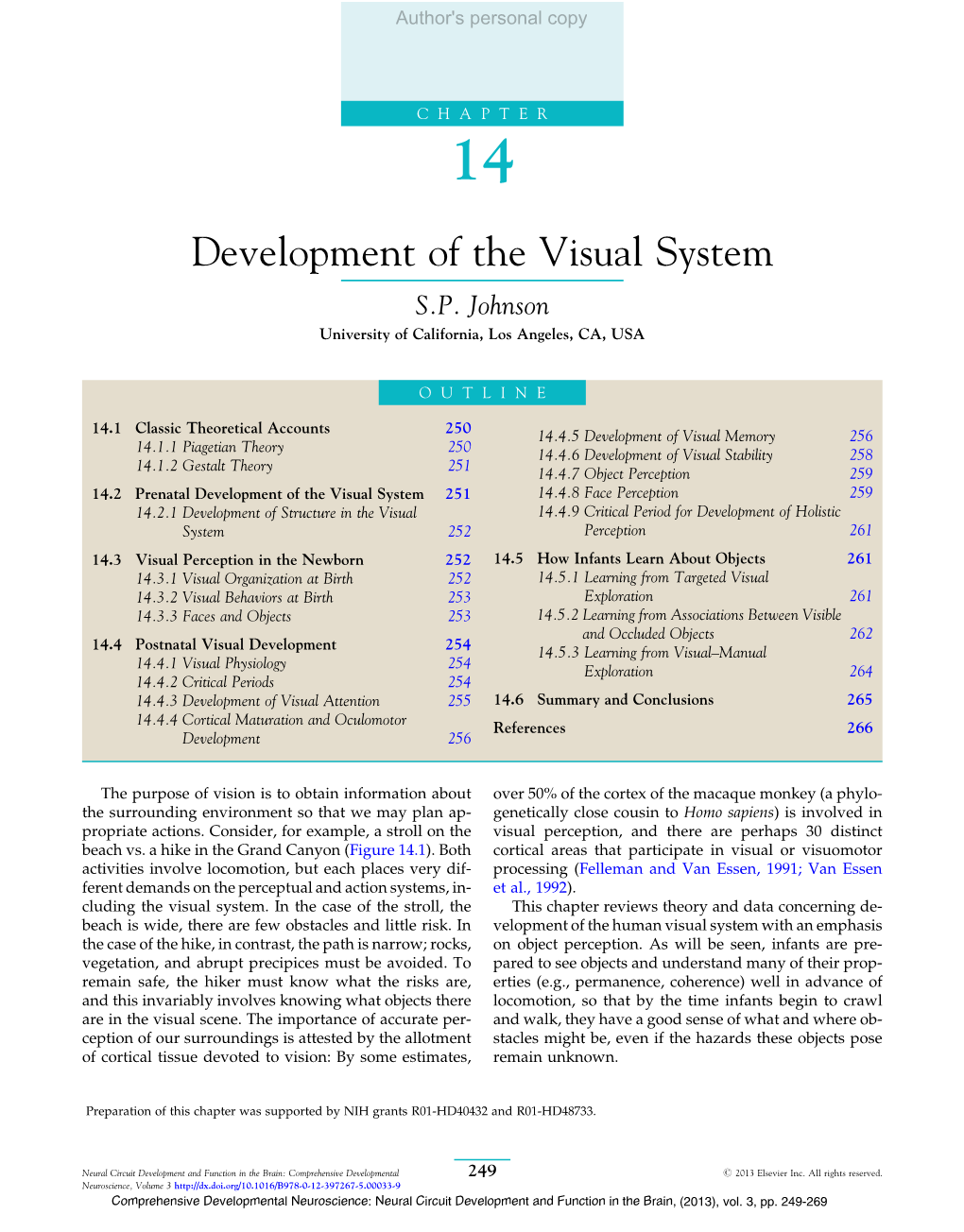 Development of the Visual System