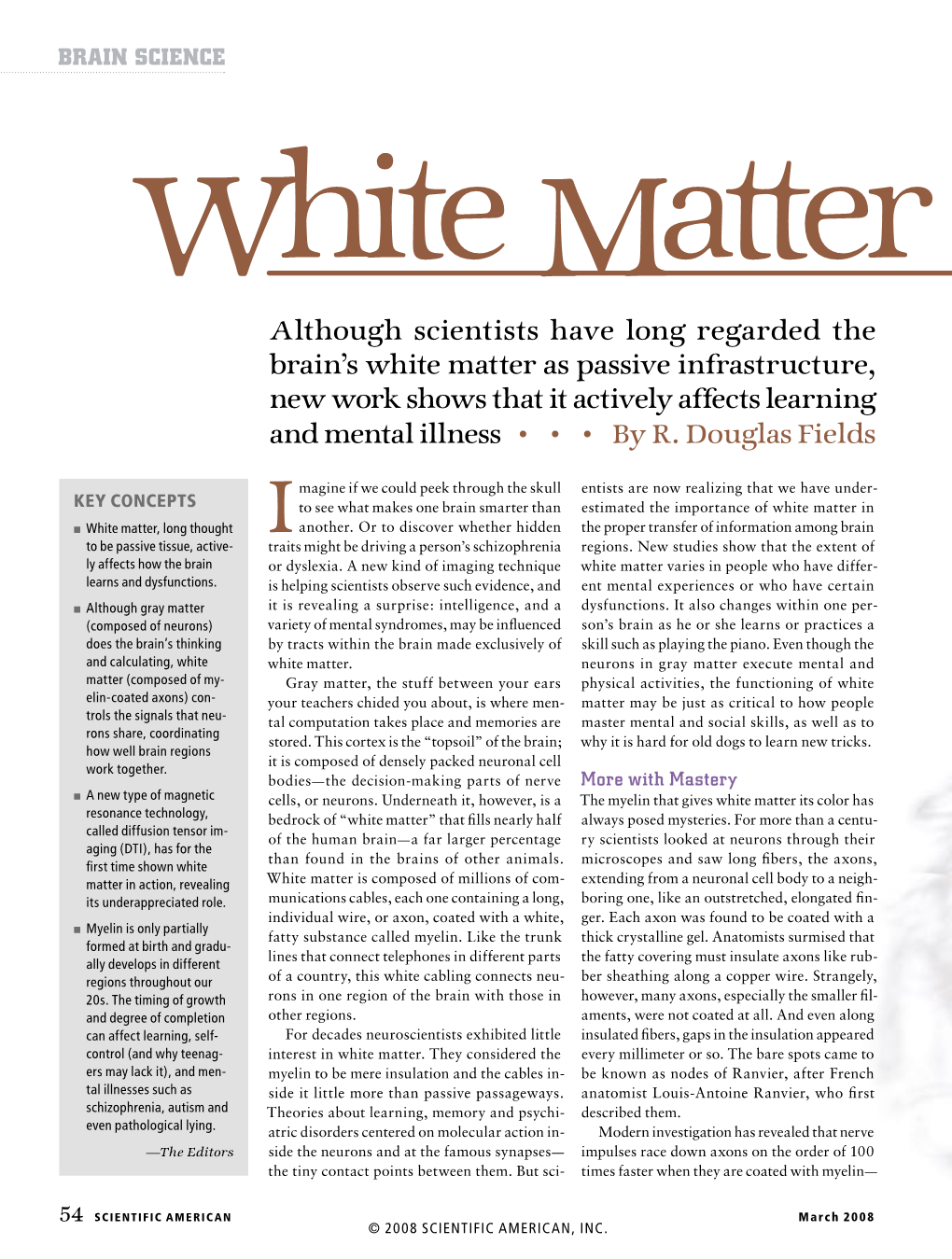 White Matter Matters