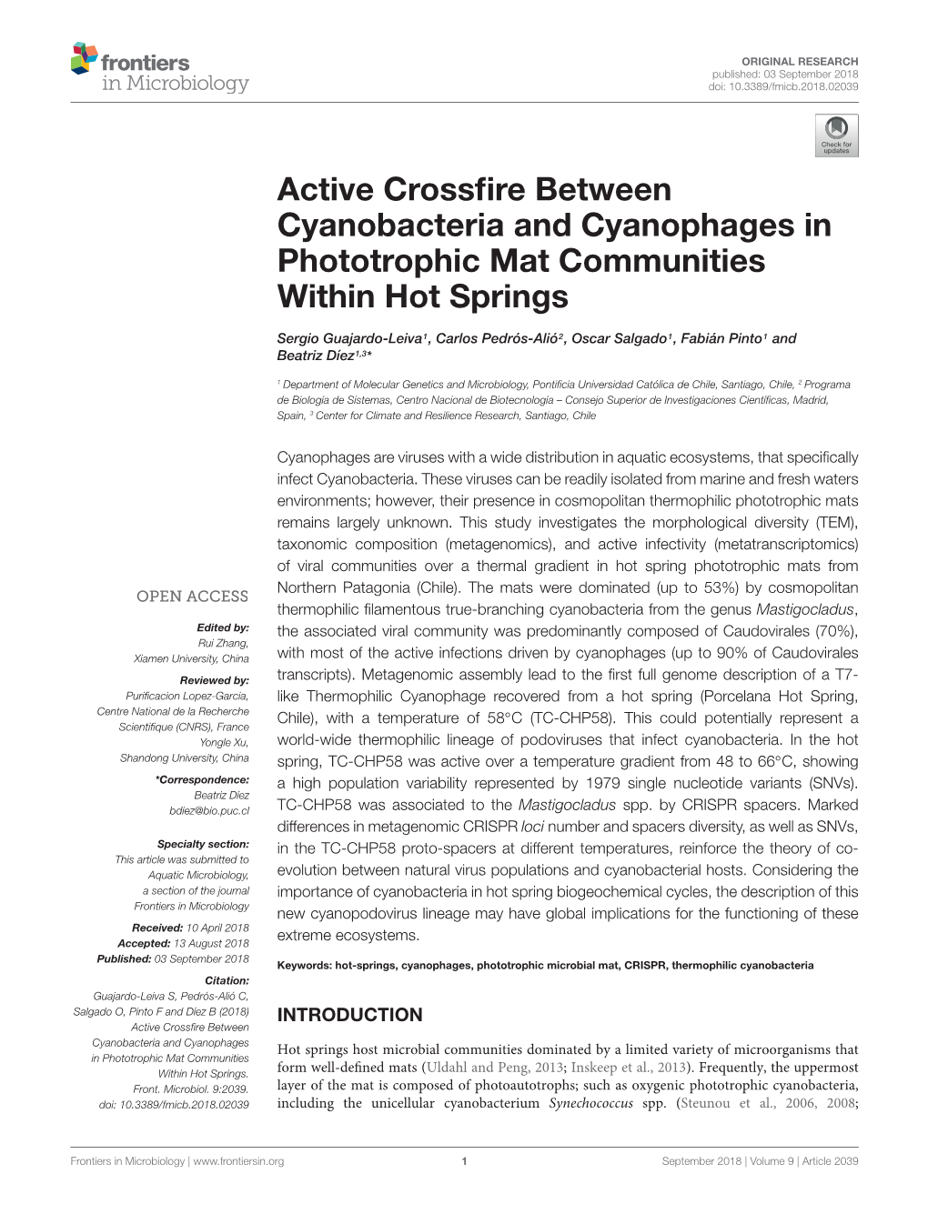 Active Crossfire Between Cyanobacteria