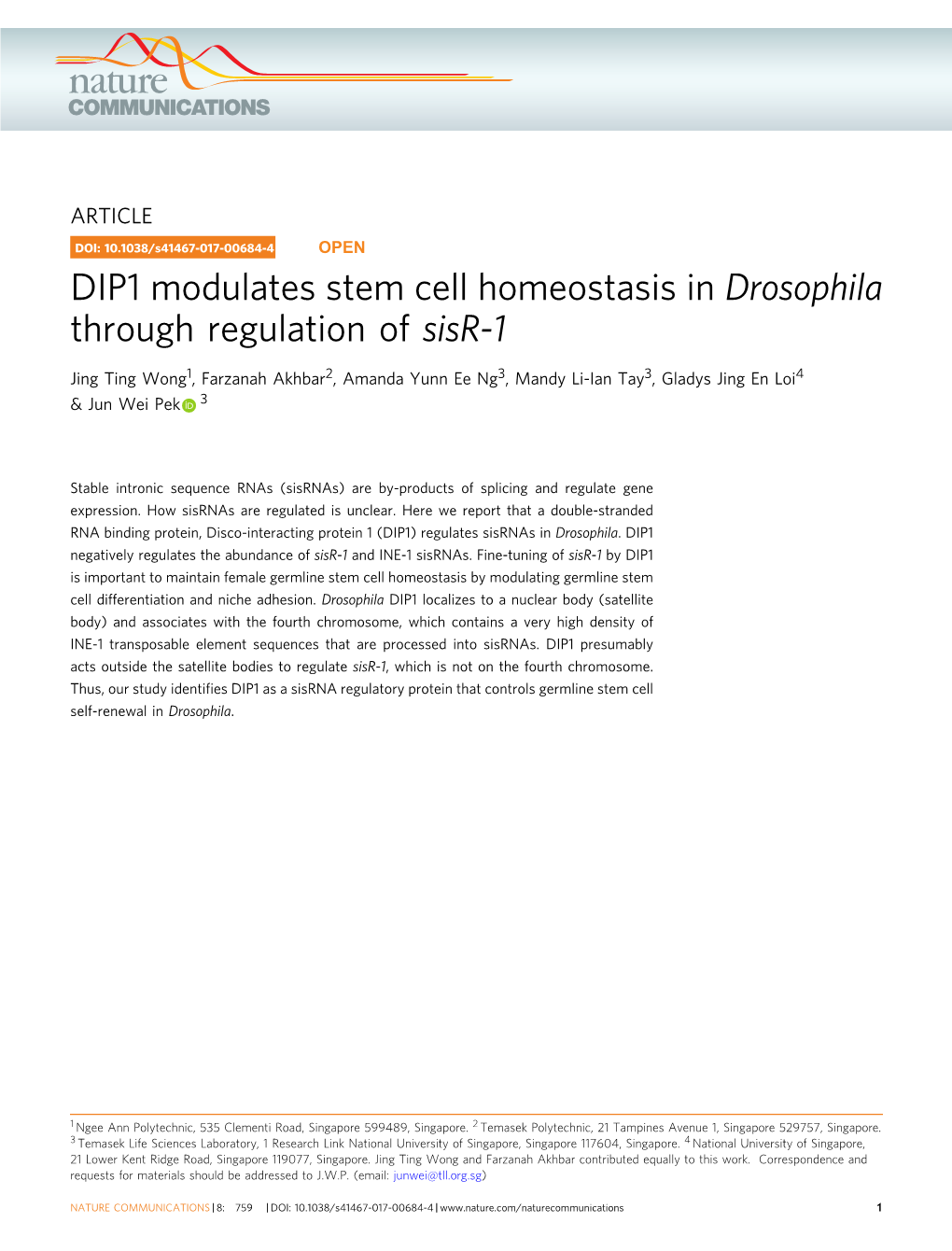 DIP1 Modulates Stem Cell Homeostasis in Drosophila Through Regulation of Sisr-1