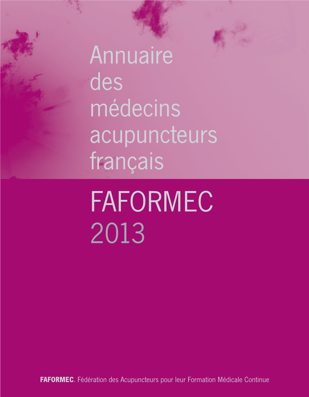 Faformec 2013