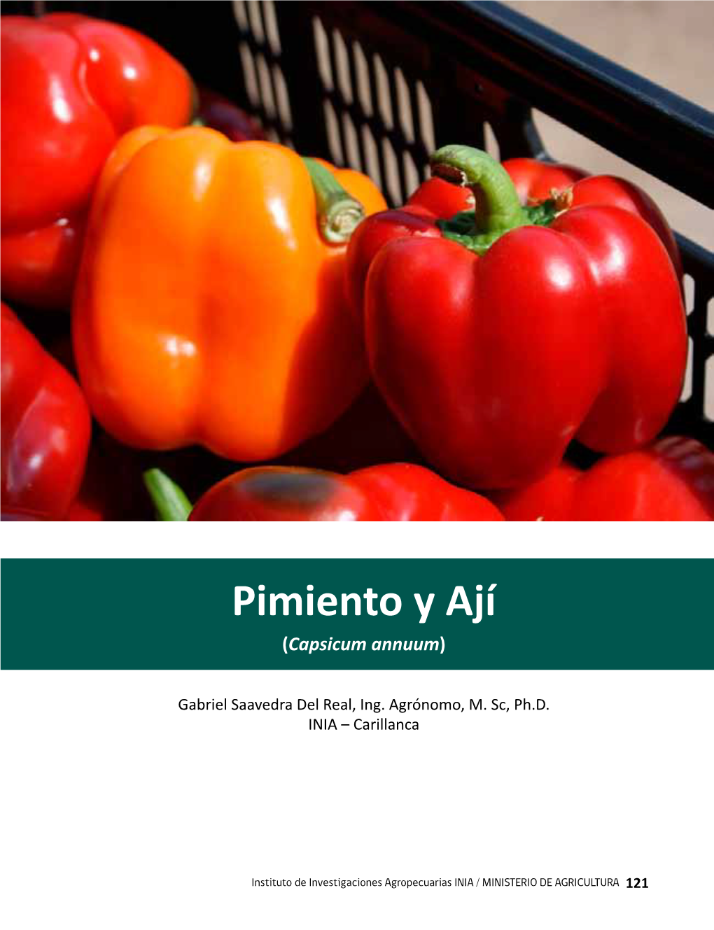 Pimiento Y Ají (Capsicum Annuum)