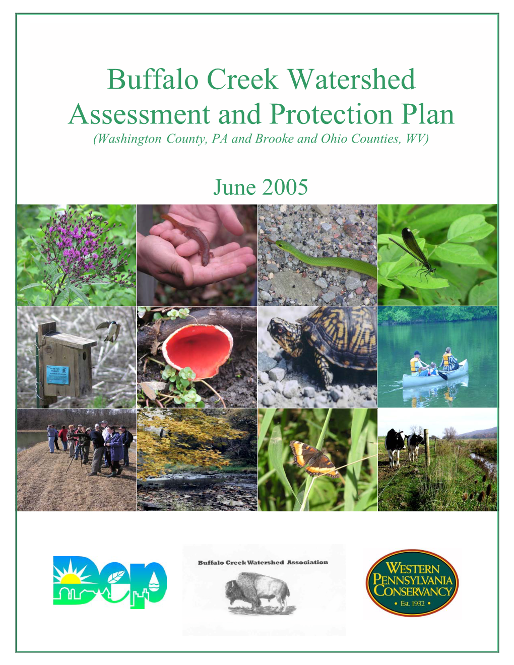 Buffalo Creek Watershed Assessment and Protection Plan