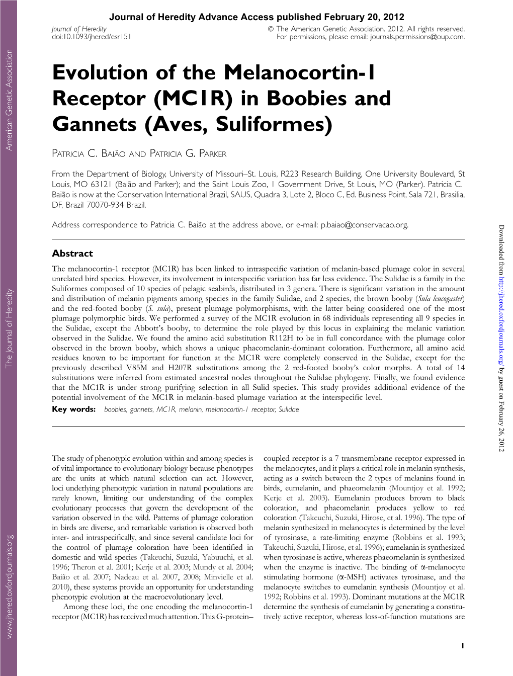 MC1R) in Boobies and Gannets (Aves, Suliformes)