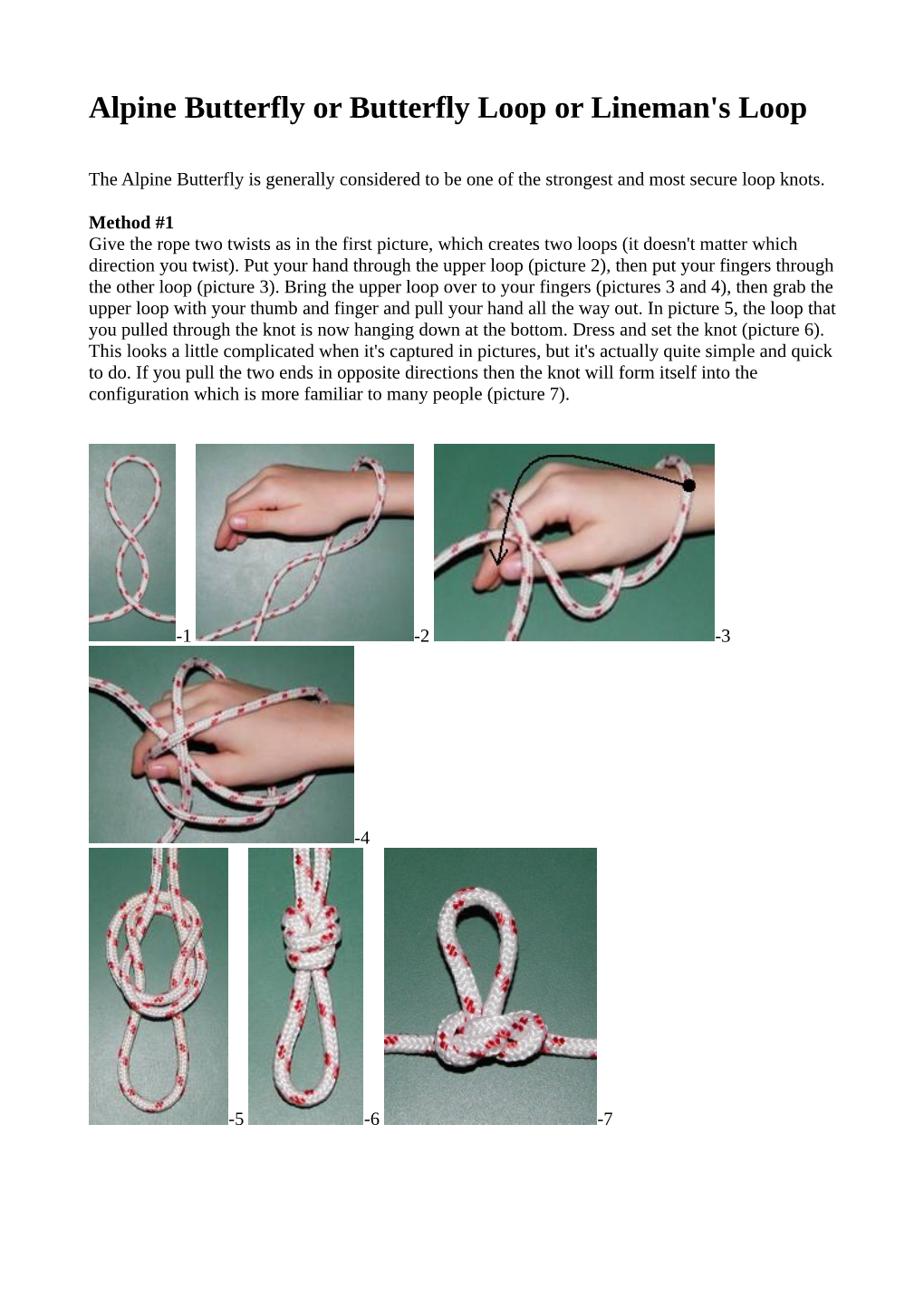 Alpine Butterfly Or Butterfly Loop Or Lineman's Loop