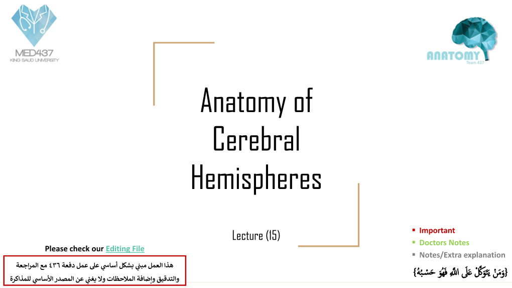 Anatomy of Cerebral Hemispheres