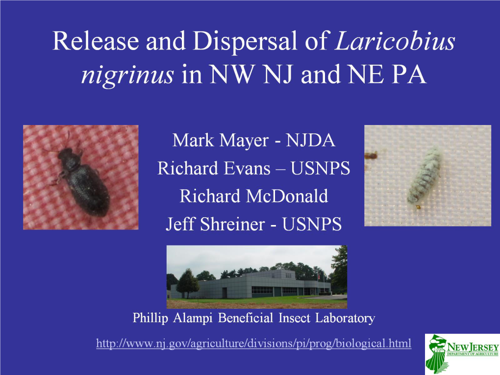 Release and Dispersal of Laricobius Nigrinus in NW NJ and NE PA