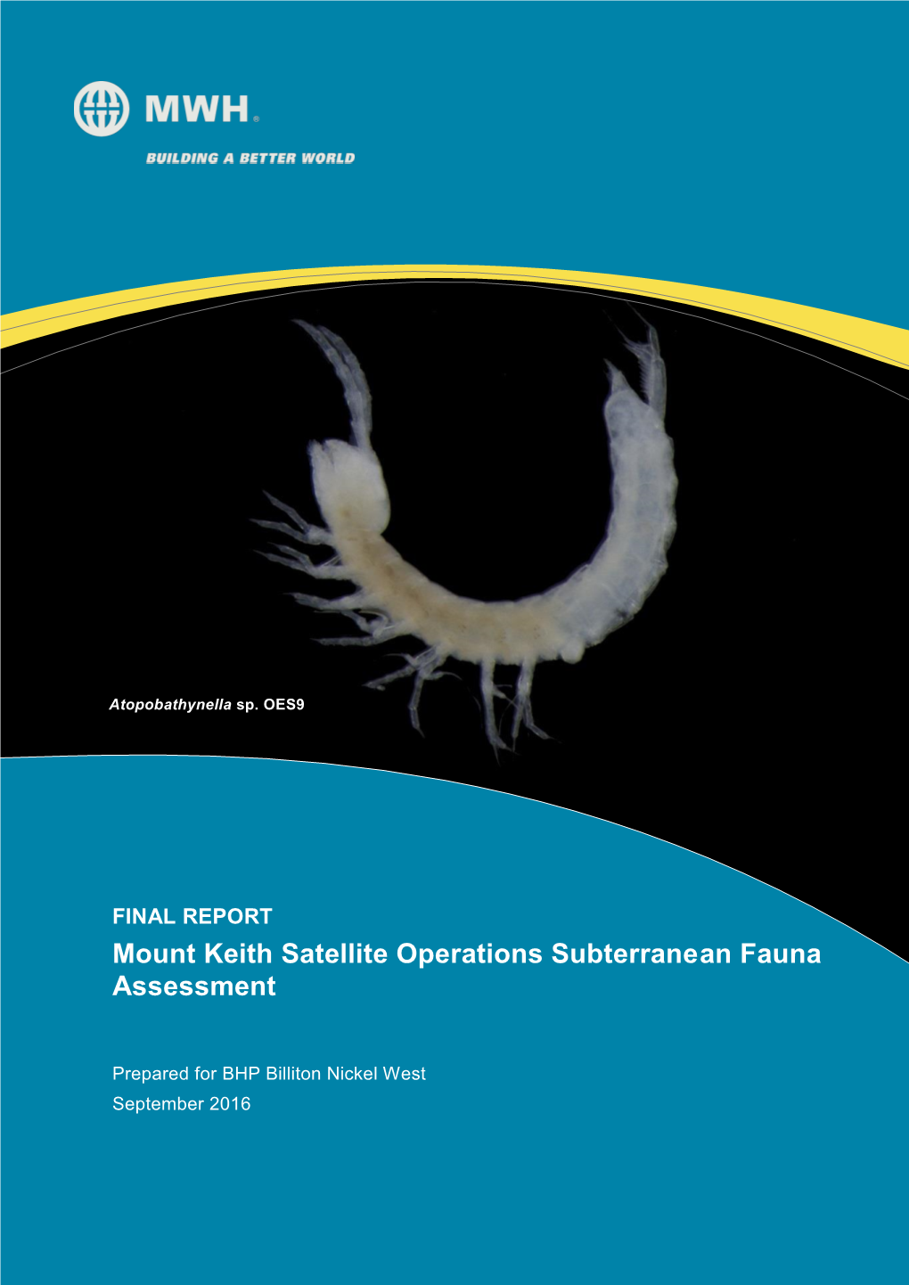 Mount Keith Satellite Operations Subterranean Fauna Assessment