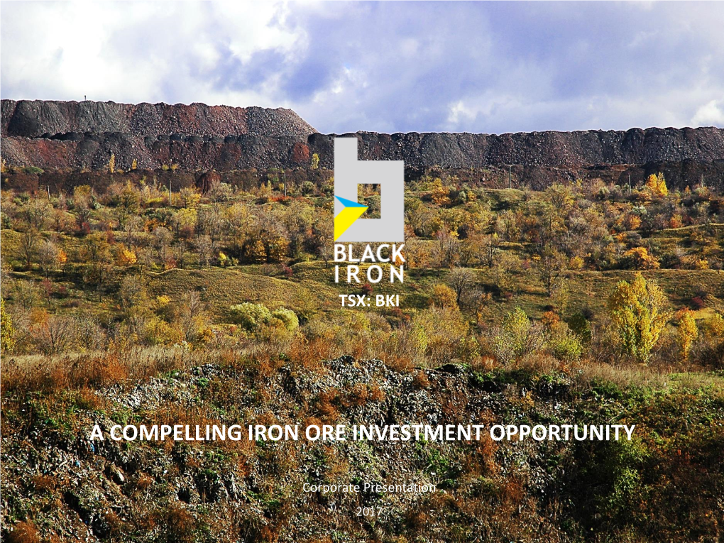 A Compelling Iron Ore Investment Opportunity