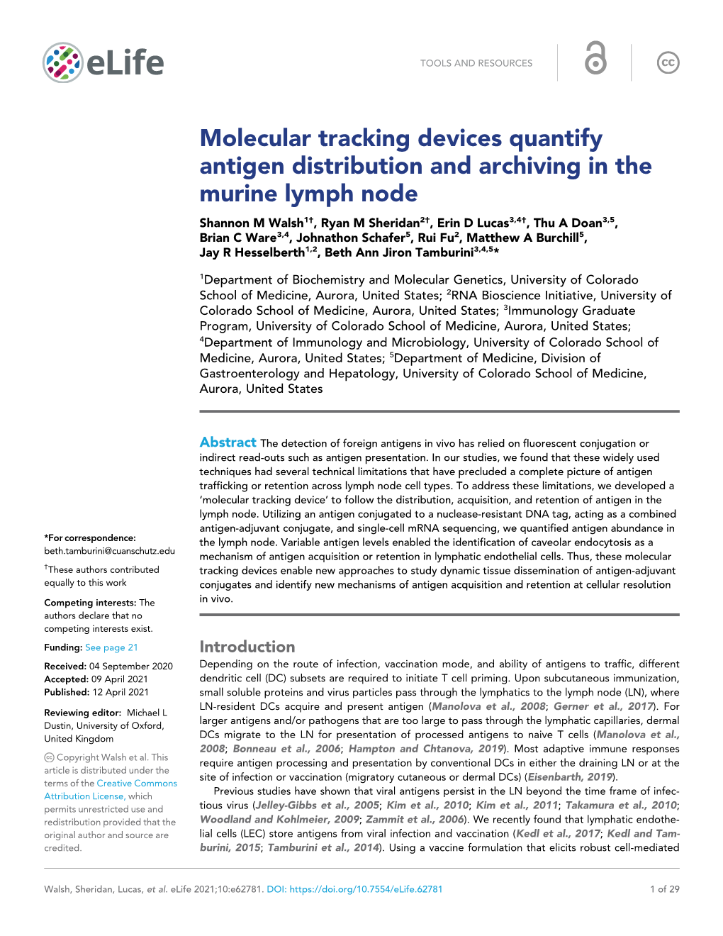 Molecular Tracking Devices Quantify Antigen Distribution and Archiving in the Murine Lymph Node