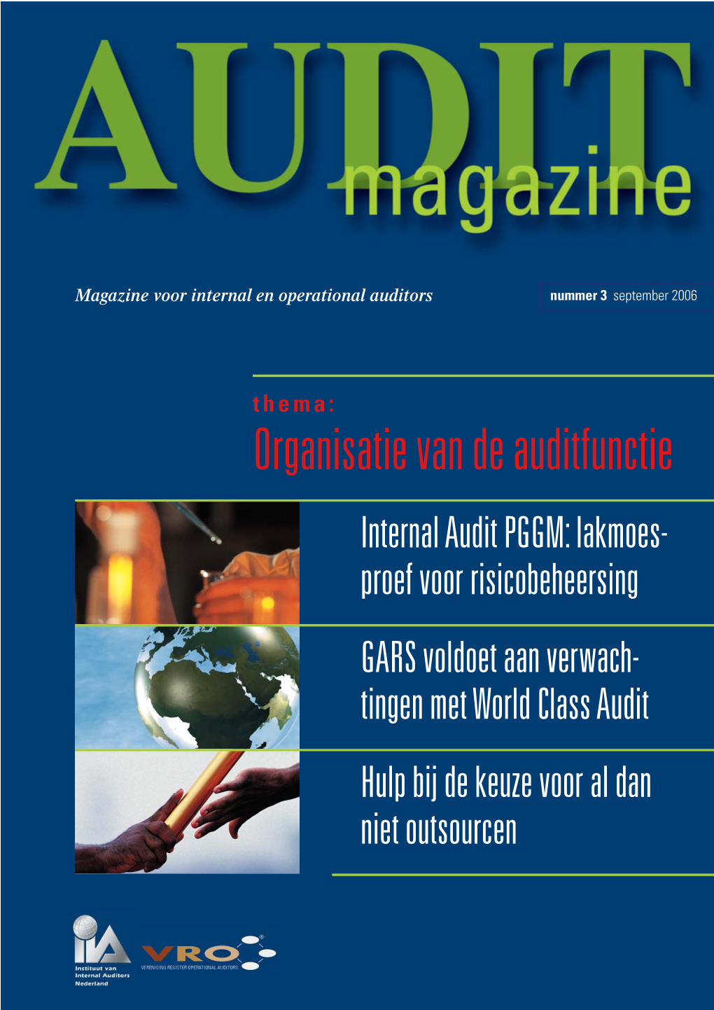 Organisatie Van De Auditfunctie