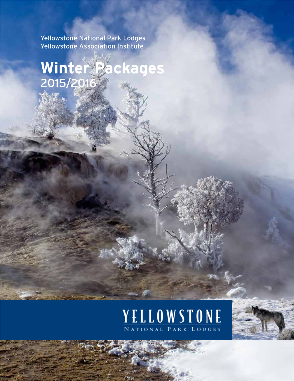 Winter Packages 2015/2016 Winter Wolf Discovery Lodging & Learning Package WINTER WORLD of WOLVES