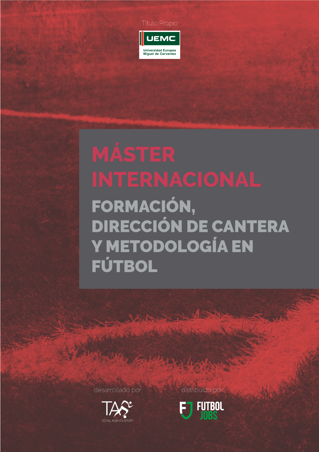 Máster Internacional Formación, Dirección De Cantera Y Metodología En Fútbol