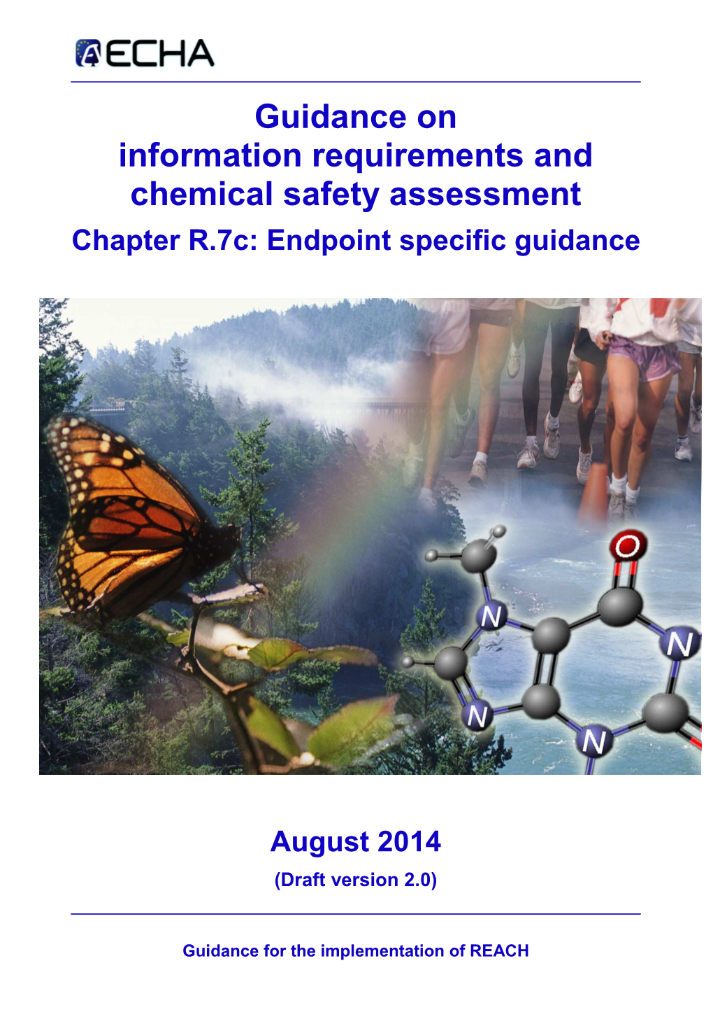 Guidance on Information Requirements and Chemical Safety Assessment Chapter R.7C: Endpoint Specific Guidance