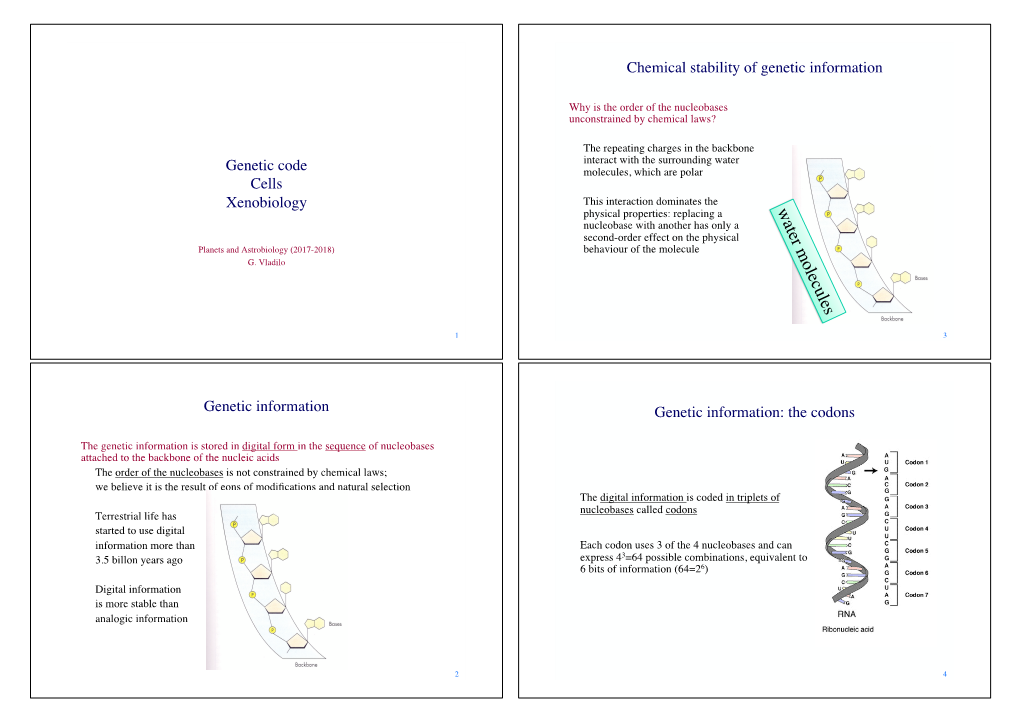 Genetic Code Cells Xenobiology Genetic Information Chemical