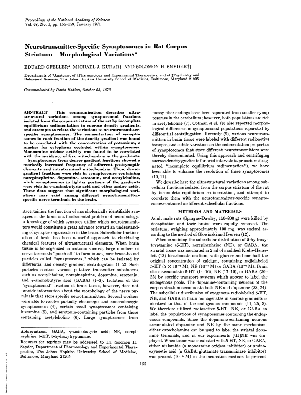 Neurotransmitter-Specific Synaptosomes in Rat Corpus Striatum: Morphological Variations*