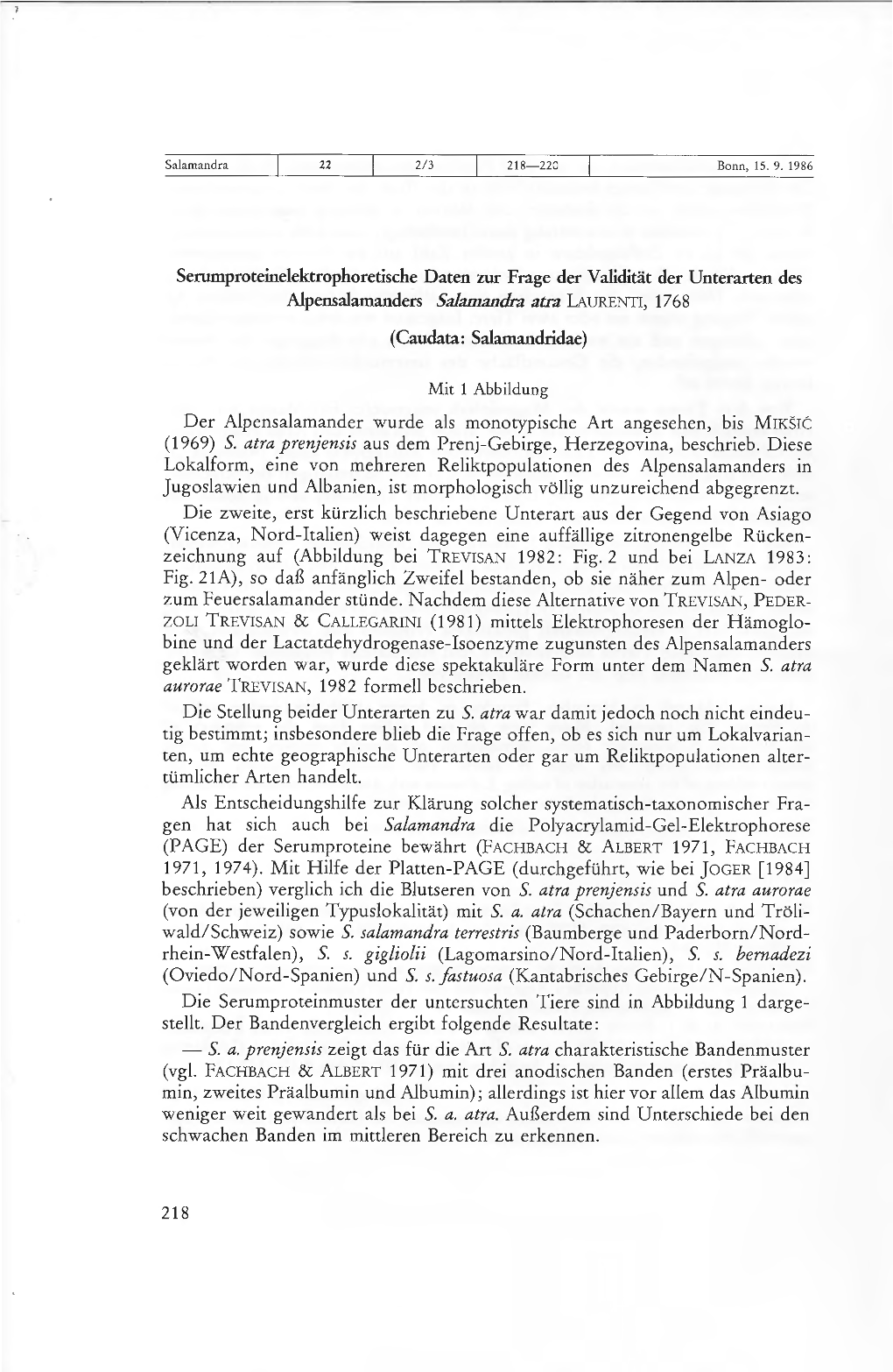 (1969) S. Atra Prenjensis Aus Dem Prenj-Gebirge, Herzegovina, Beschrieb