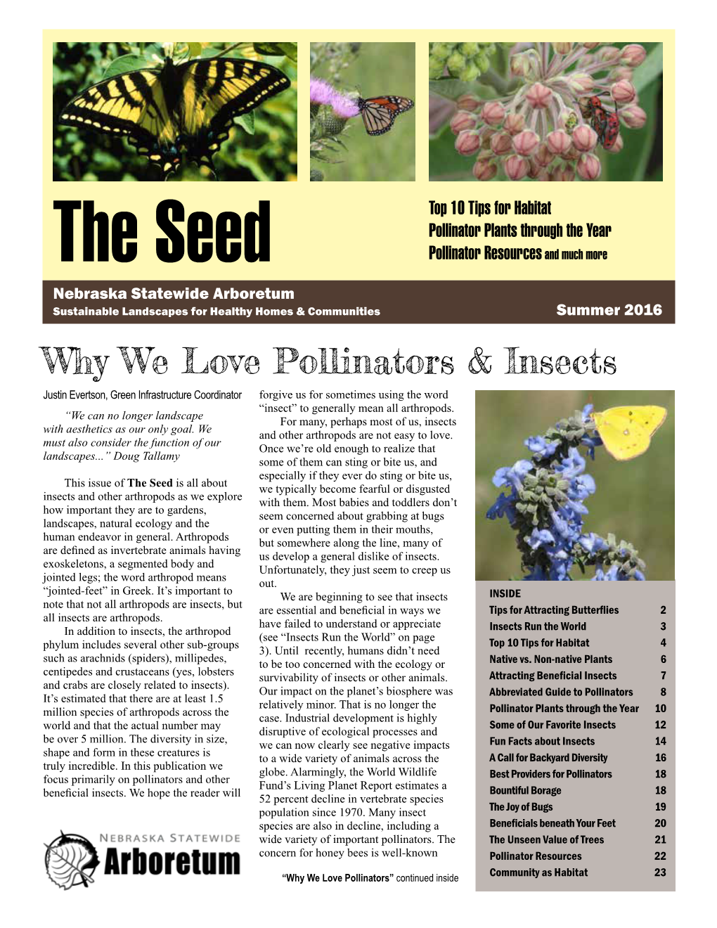 Why We Love Pollinators & Insects