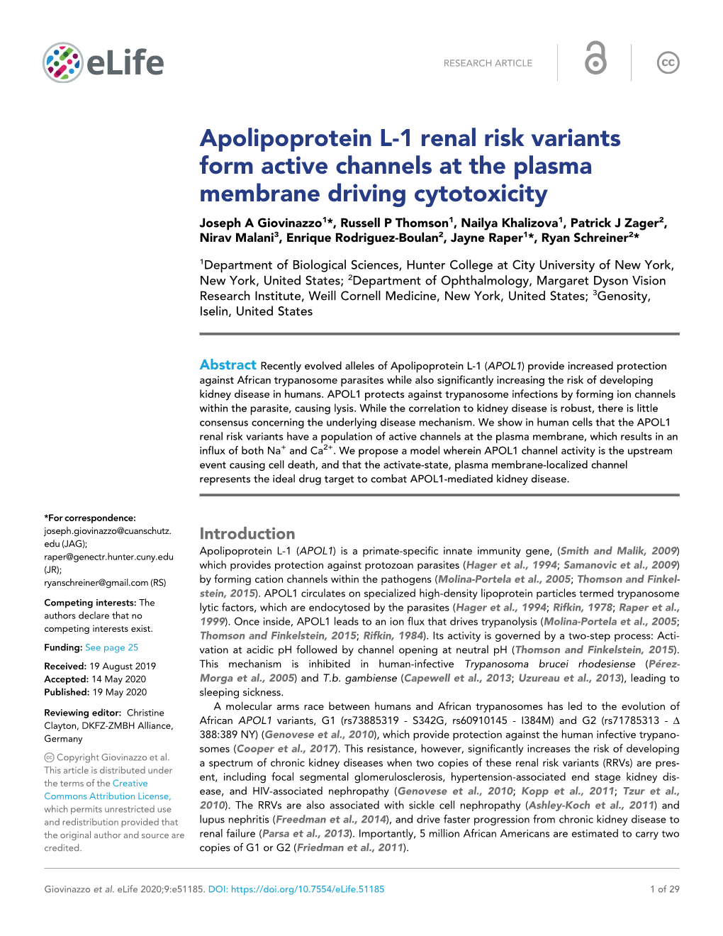 Apolipoprotein L-1 Renal Risk Variants Form Active Channels at the Plasma