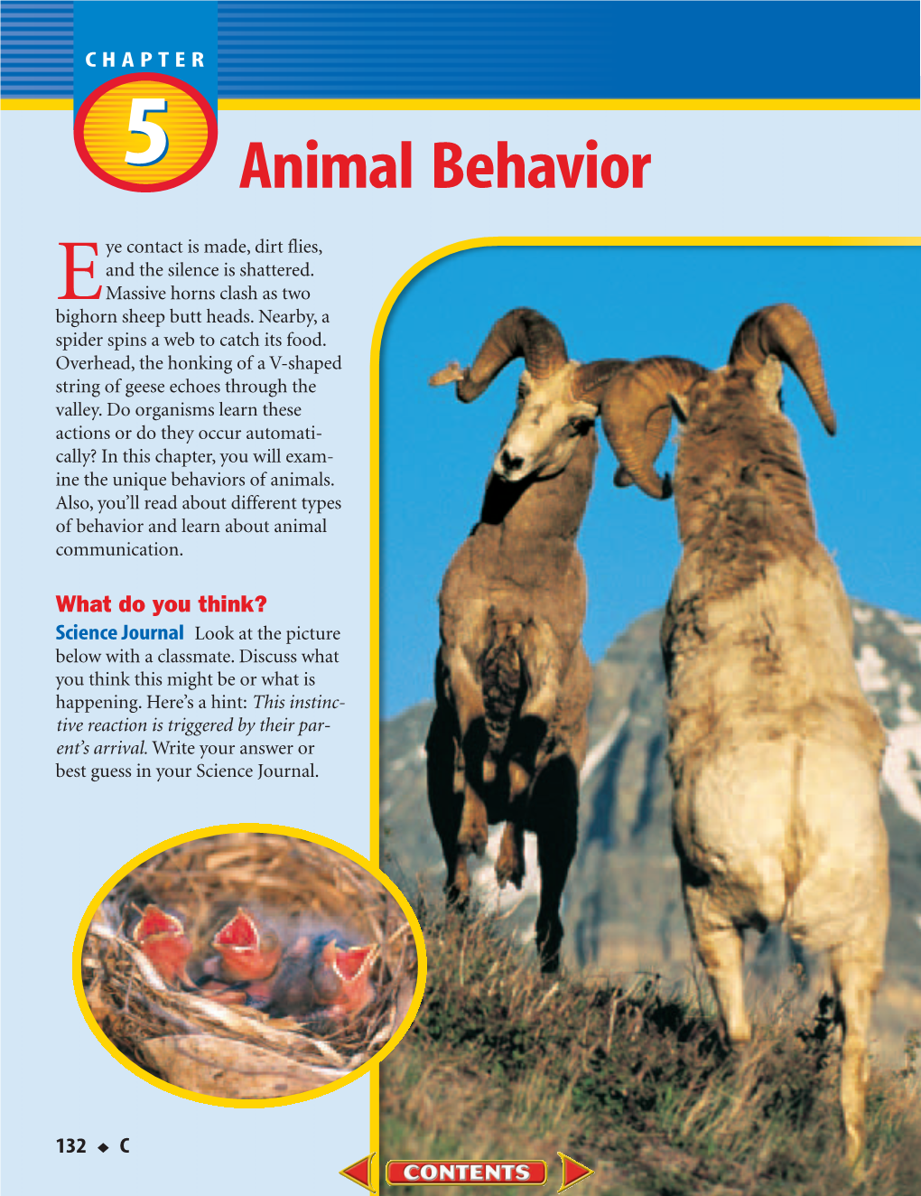 C: Chapter 5: Animal Behavior