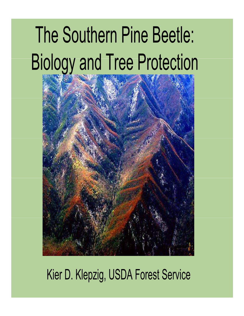 The Southern Pine Beetle: Biology and Tree Protection