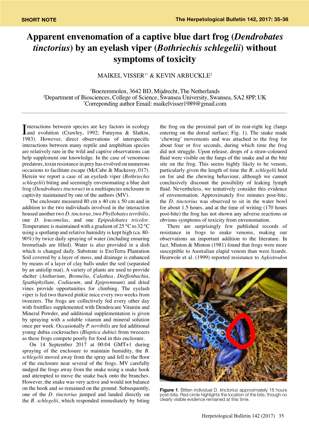 (Dendrobates Tinctorius) by an Eyelash Viper (Bothriechis Schlegelii) Without Symptoms of Toxicity