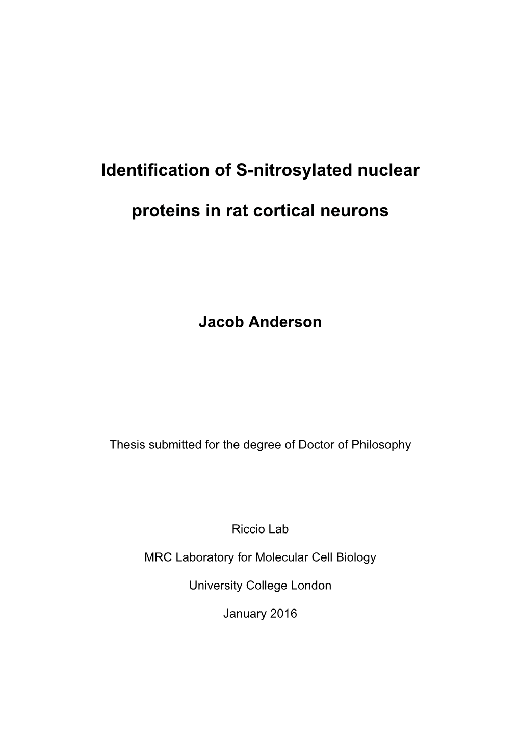 Identification of S-Nitrosylated Nuclear Proteins in Rat Cortical Neurons