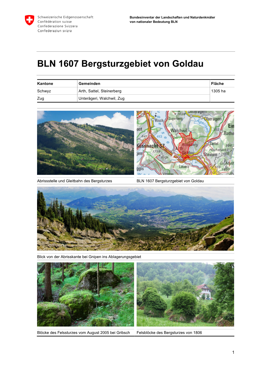 BLN 1607 Bergsturzgebiet Von Goldau