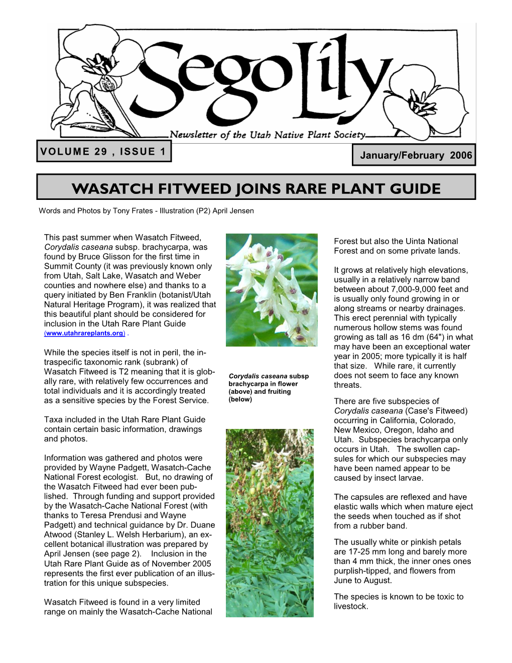 Wasatch Fitweed Joins Rare Plant Guide
