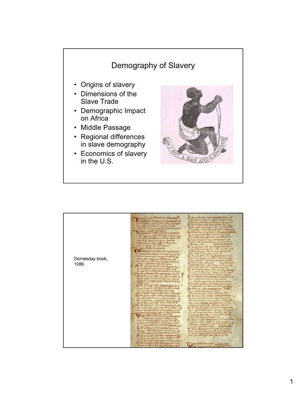 Demography of Slavery and the Slave Trade