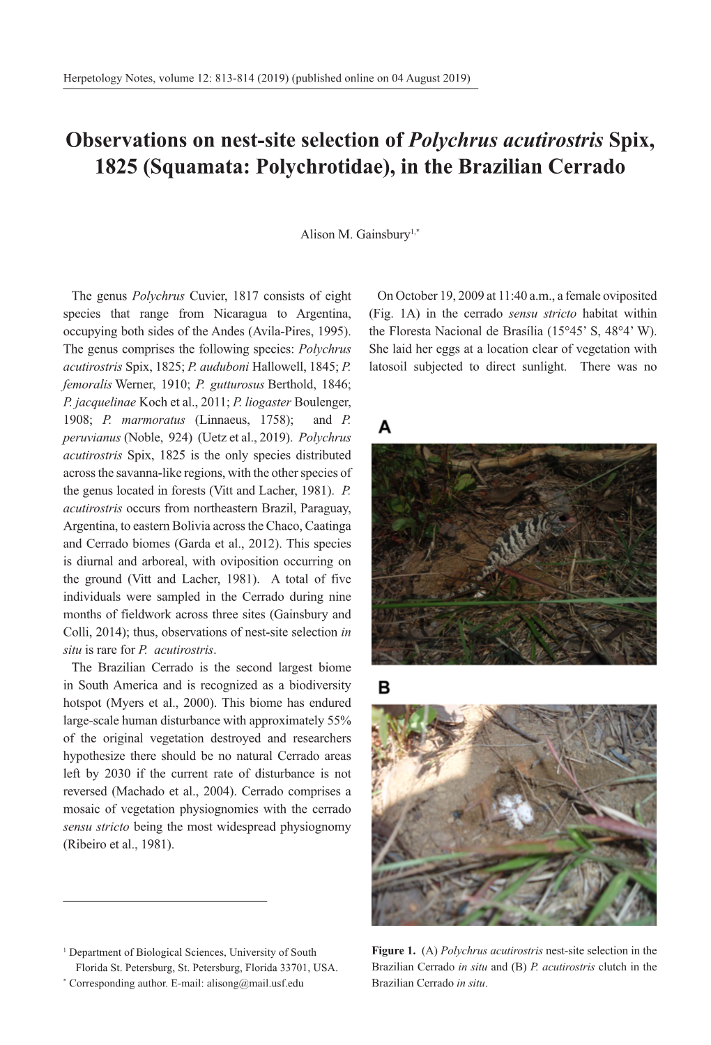 Observations on Nest-Site Selection of Polychrus Acutirostris Spix, 1825 (Squamata: Polychrotidae), in the Brazilian Cerrado