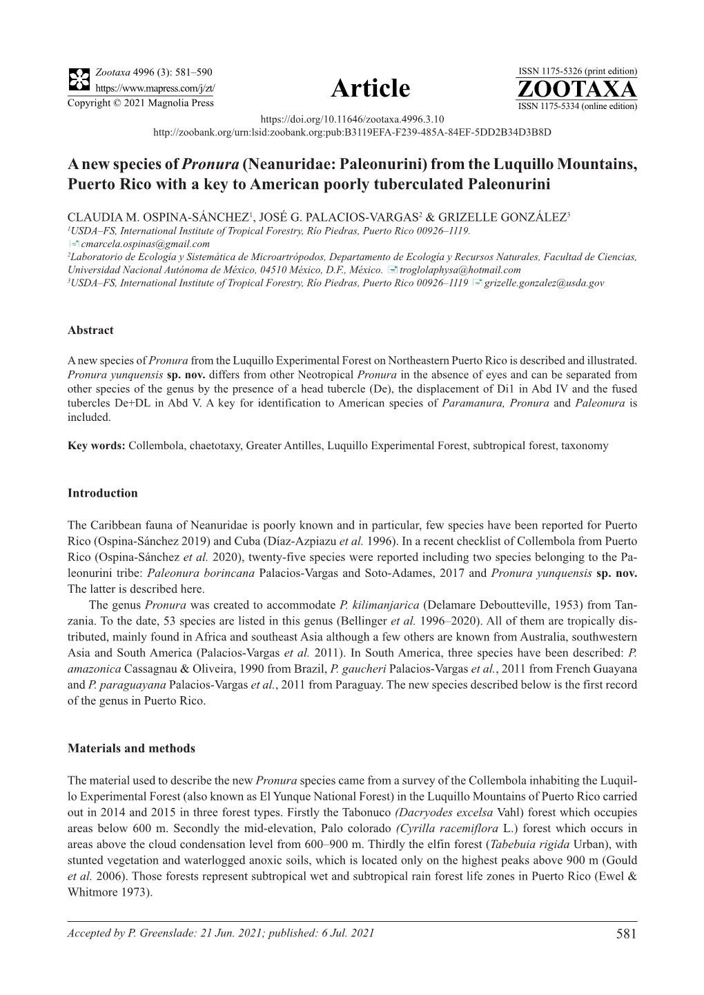 Neanuridae: Paleonurini) from the Luquillo Mountains, Puerto Rico with a Key to American Poorly Tuberculated Paleonurini