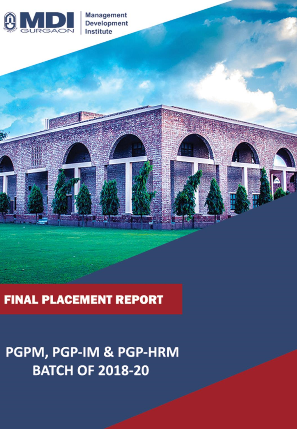 Final Placement Report (Batch of 2018-20)